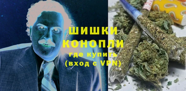 СК Алексин
