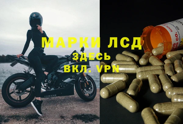 СК Алексин