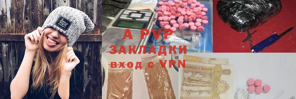 СК Алексин